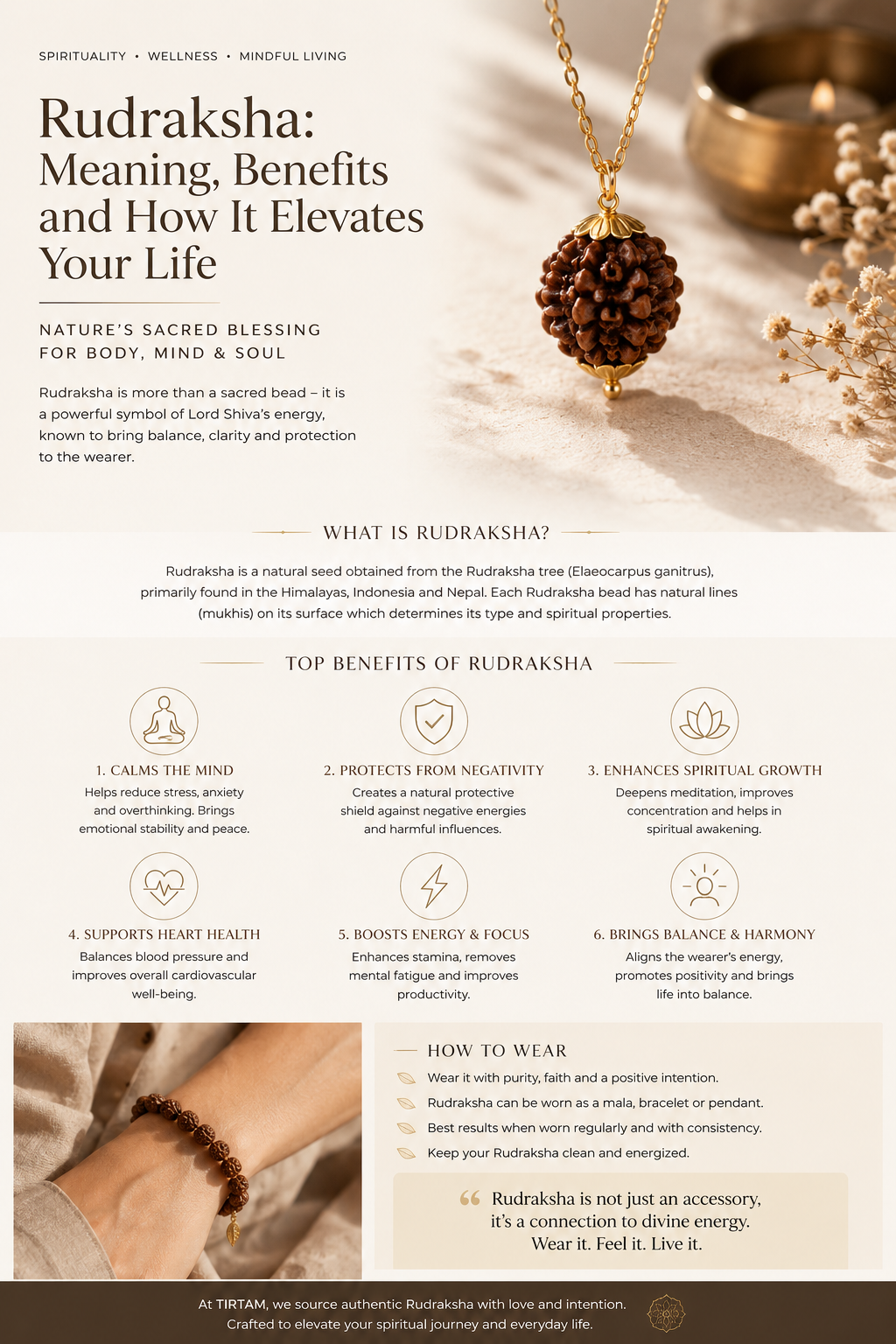 Rudraksha: Meaning, Benefits & Why It’s Still Relevant Today