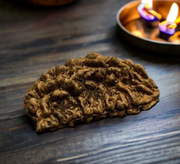 1 Mukhi Rudraksha Chain Necklace