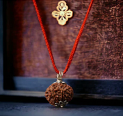 2 Mukhi Rudraksha Chain Necklace