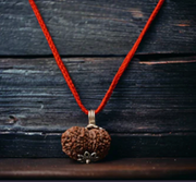 4 Mukhi Rudraksha Chain Necklace