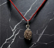 10 Mukhi Rudraksha Chain Necklace
