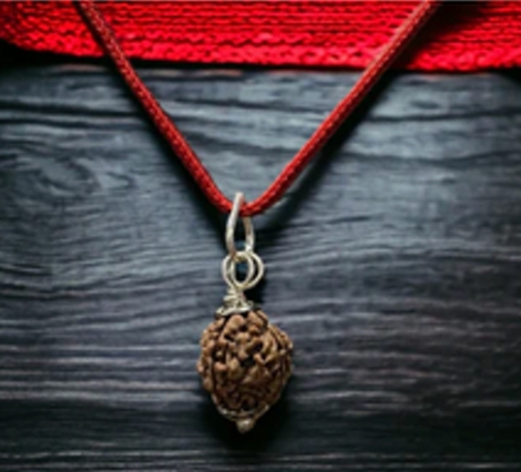 7 Mukhi Rudraksha Chain Necklace