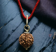 5 Mukhi Rudraksha Chain Necklace