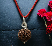 11 Mukhi Rudraksha Chain Necklace