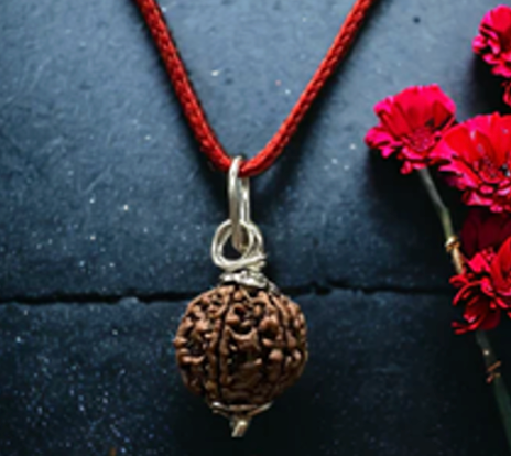 11 Mukhi Rudraksha Chain Necklace