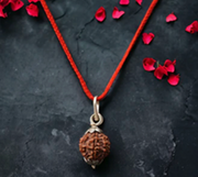 12 Mukhi Rudraksha Chain Necklace