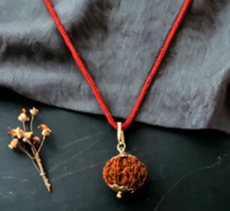 6 Mukhi Rudraksha Chain Necklace